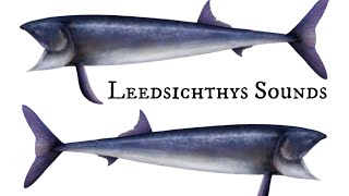 Accurate Leedsichthys Sounds [upl. by Lucania790]