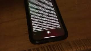 Siri reading zeros for 11 minutes [upl. by Tarryn]