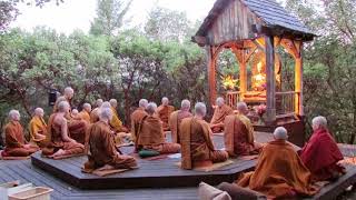 Pali Chanting In The Abhayagiri Buddhist Monastery  Theravada Buddhism [upl. by Vevine]