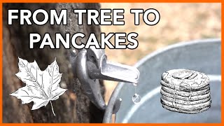 Making Maple Syrup at Home Start to Finish [upl. by Audri]