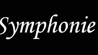 Silbermond  Symphonie Original  Lyrics [upl. by Gresham]