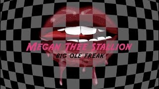 Megan Thee Stallion  Big Ole Freak Official Lyric Video [upl. by Veronique529]