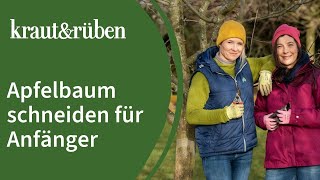 Apfelbaum schneiden 🍎  Apfelbaumschnitt für Anfänger [upl. by Egwan]