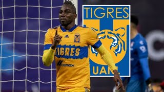 Los 12 Goles de Julián Quiñones con Tigres [upl. by Riva]