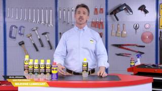 WD40® Specialist™ Silicone Lubricant [upl. by Mart]