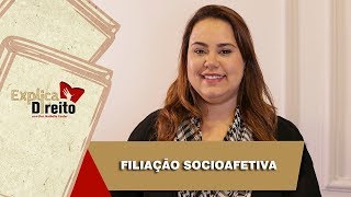 Explica Direito Filiação Socioafetiva  2019 [upl. by Sherri]