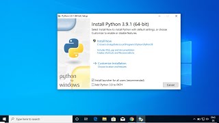 How to Install Python 391 on Windows 10 [upl. by Mcginnis350]