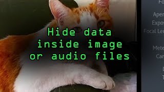 Conceal Secret Messages or Data Through Steganography with Steghide Tutorial [upl. by Anehsat930]