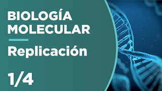 REPLICACIÓN del ADN  Biología Molecular 14 [upl. by Nauqahs]