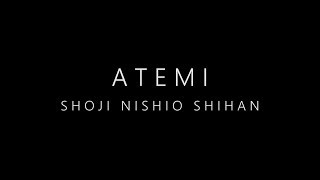 Atemi Shoji Nishio Shihan [upl. by Ailb]