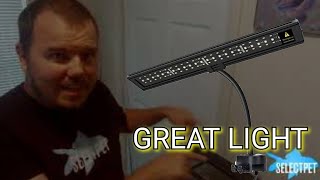 Ireenuo Led Aquarium Light Review [upl. by Ettenay]