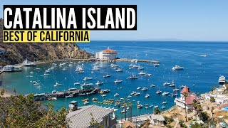 Things To Do in CATALINA ISLAND California Travel Guide amp Vlog [upl. by Eemyaj]