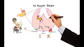 Pharmacology  ANTIHISTAMINES MADE EASY [upl. by Nanete571]