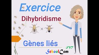 Exercice Dihybridisme 2 gènes liés [upl. by Madanhoj524]