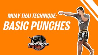 Muay Thai Technique  Basic Punches [upl. by Iris]