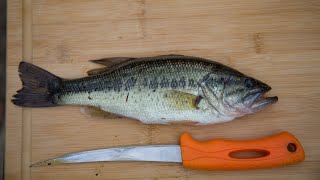 Largemouth BASS Catch and Cook [upl. by Mathre]