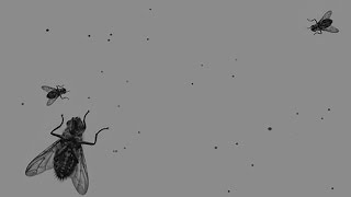 Swarm Of Flies for Unity [upl. by Lambard65]