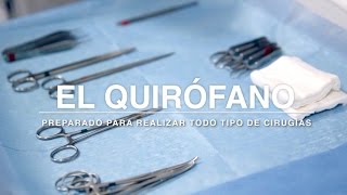 Cómo se realiza una operación veterinaria  Cirugía en perros  Veterinario DOGKING [upl. by Langham448]