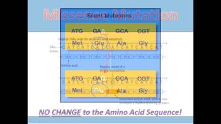 Substitution Mutations [upl. by Shanie36]