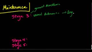 The Stages of Anesthesia The Basics Guedels Classificaiton [upl. by Emiaj354]