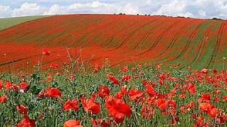 In Flanders Fields by John McCrae May 1915 [upl. by Brigida]