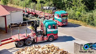 Fabrication de bois de chauffage 4K  Manufacture of firewood [upl. by Noloc]