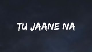 Tu Jaane Na  Atif Aslam  SR Lofi [upl. by Nimsay]