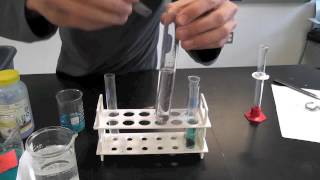 Single Replacement Reaction  Zn  PbNO32  Chemistry  SENECA QUIMICA [upl. by Bernice]