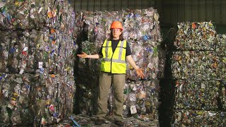 How Recycling Works Behind the Scenes at the MRF [upl. by Inkster]