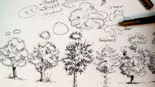 Pen amp Ink Drawing Tutorials  How to draw trees [upl. by Archangel]