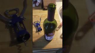 Restopping or recorking a wine bottle [upl. by Aneral]