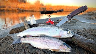 RAINBOW TROUT Fishing CLEAR REMOTE Creek Catch amp Cook [upl. by Gasperoni288]