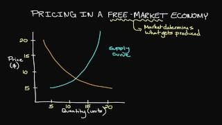 Pricing in a FreeMarket Economy [upl. by Nicks699]