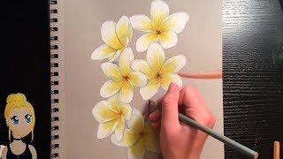 How to Draw Realistic Flowers With Colored Pencils [upl. by Duahsar621]