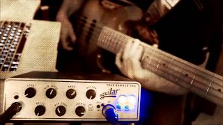 Aguilar Tone Hammer 350 test DI out [upl. by Salvadore]