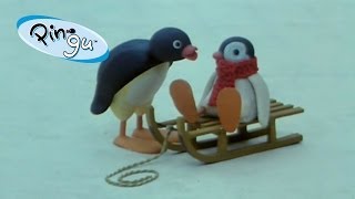 Pingu Pinga and Pingu [upl. by Imuya]