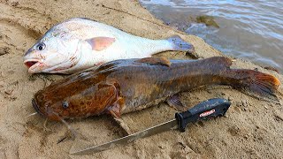 Catch n Cook Flathead Catfish amp Drum  Ace Videos [upl. by Drauode447]