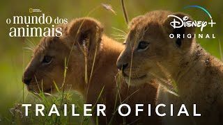 O Mundo Animal  Trailer Oficial Legendado  Disney [upl. by Gabbie469]