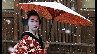 The Secret World Of Geishas [upl. by Ragas]