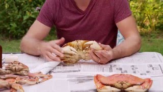 How to Eat a Crab [upl. by Adnyleb]