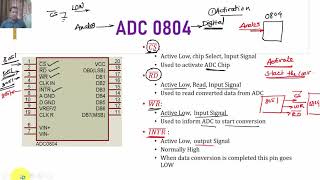 ADC0804 interfacing with 8051 Microcontroller [upl. by Schulz]