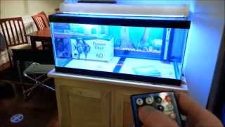 A Better DIY LED Aquarium Light [upl. by Enajiram]