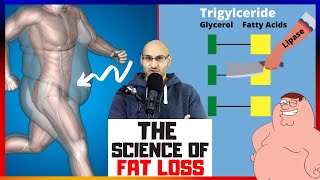 The Science of Fat Loss Explained [upl. by Nolla]