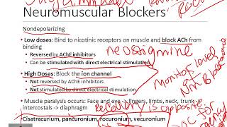 Pharmacology of Neuromuscular Blockers [upl. by Anaugal]