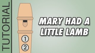 Mary Had a Little Lamb  Recorder Flute Tutorial [upl. by Philippe]