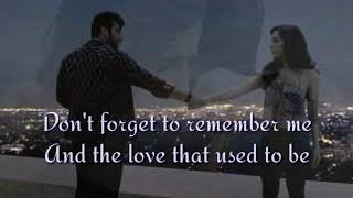 DONT FORGET TO REMEMBER ME lyrics BEE GEES [upl. by Calle]