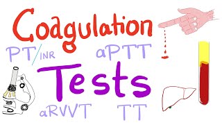 Coagulation Tests  PT aPTT TT Fibrinogen Mixing Studies [upl. by Suzann]