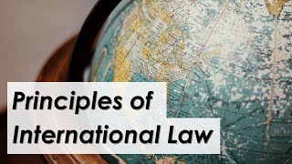 Main principles governing the international legal system  LexIcon [upl. by Ymmij]