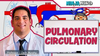 Circulatory System  Pulmonary Circulation [upl. by Steere531]