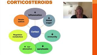 Pharmacology Basics Corticosteroid Medication [upl. by Autumn]